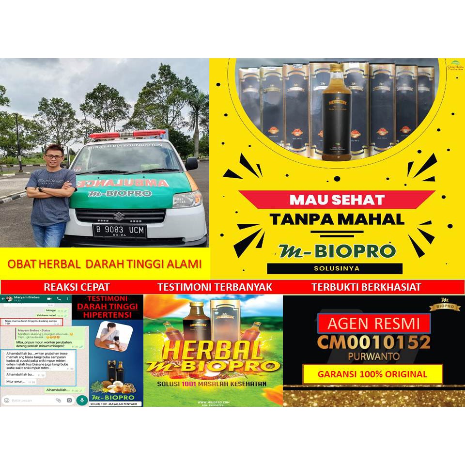 M BIOPRO Manjur Obat Darah Tinggi Tradisional | Tekanan Darah Tinggi | Obat Menurunkan Darah Tinggi