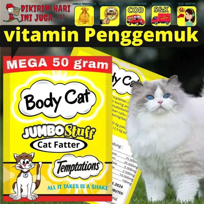 vitamin penggemuk kucing 50 gram body cat zeorfam