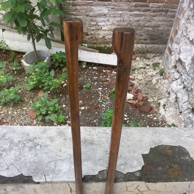 

Tongkat batangan galih kelor