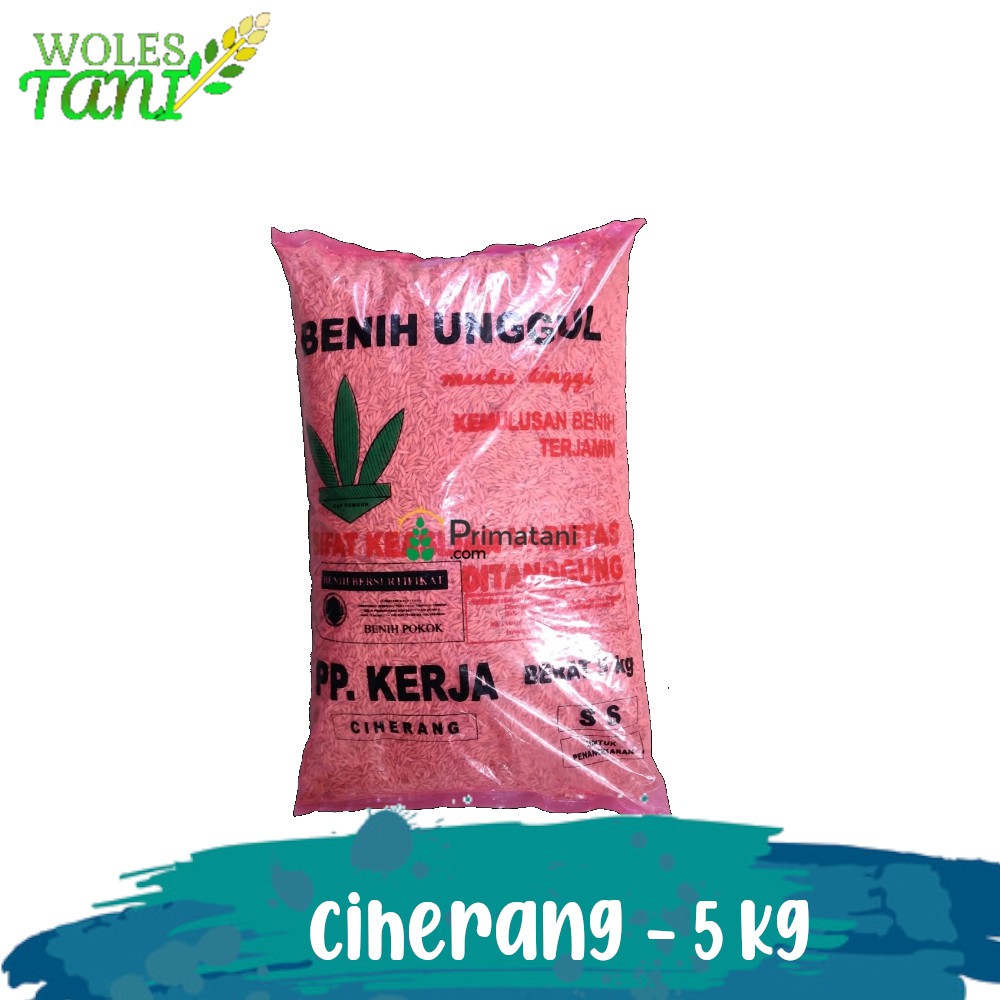 Benih Padi Ciherang 5 Kg PP Kerja