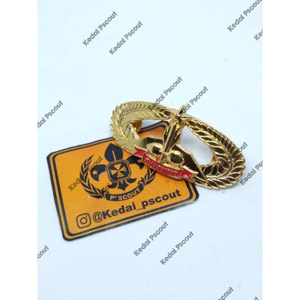 PIN BREVET DIANPINSAT COR