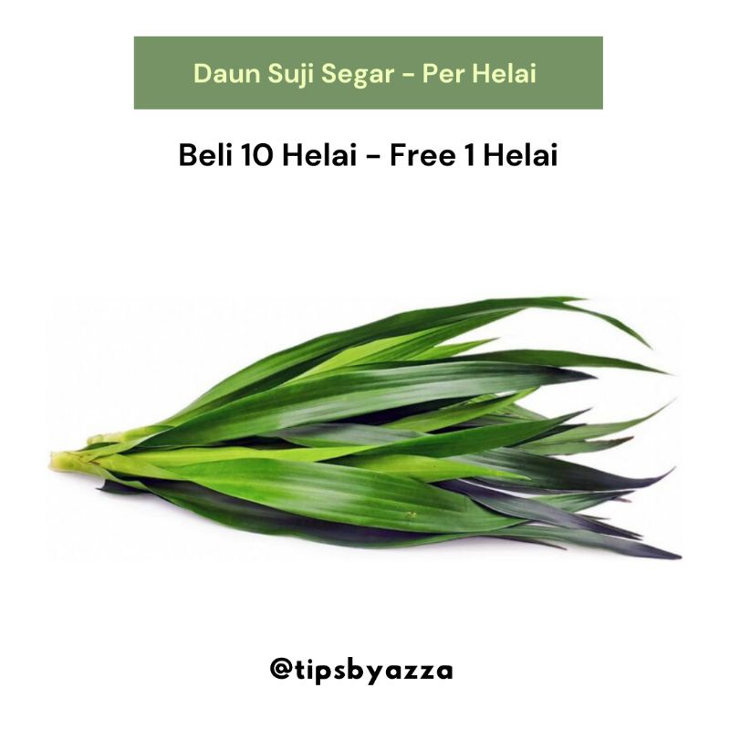 Daun Pandan Segar / Daun Suji Segar / Pewarna Hijau Alami