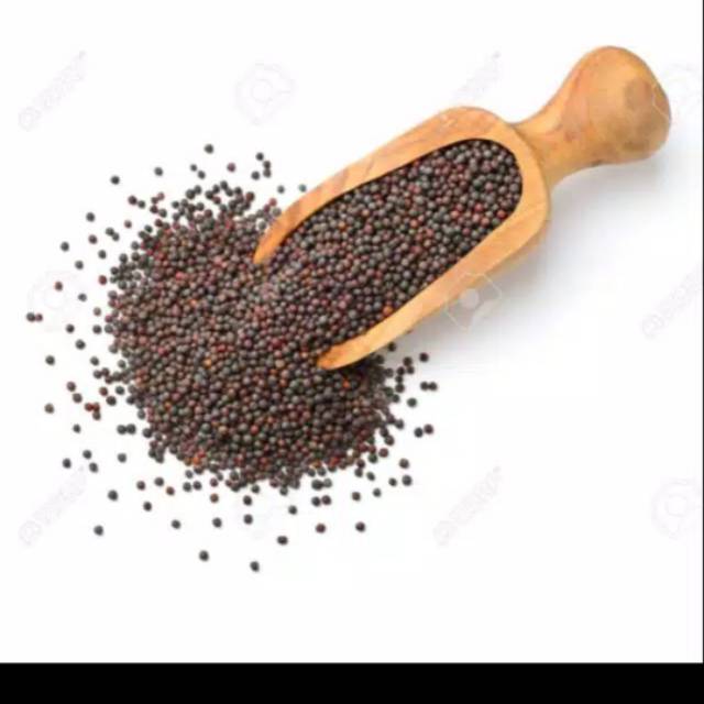 

MUSTARD SEED | BIJI SAWI 50gr