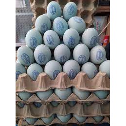 

Telur Asin Matang