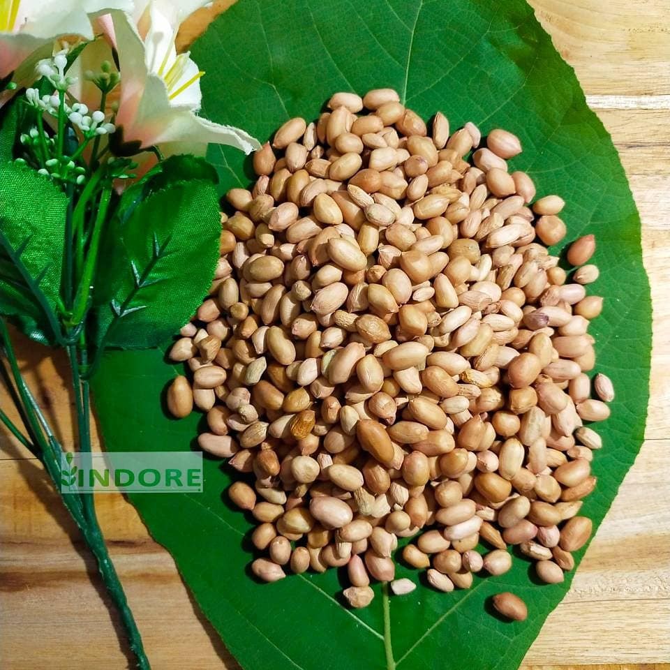 

KACANG TANAH BERSIH TANPA KULIT