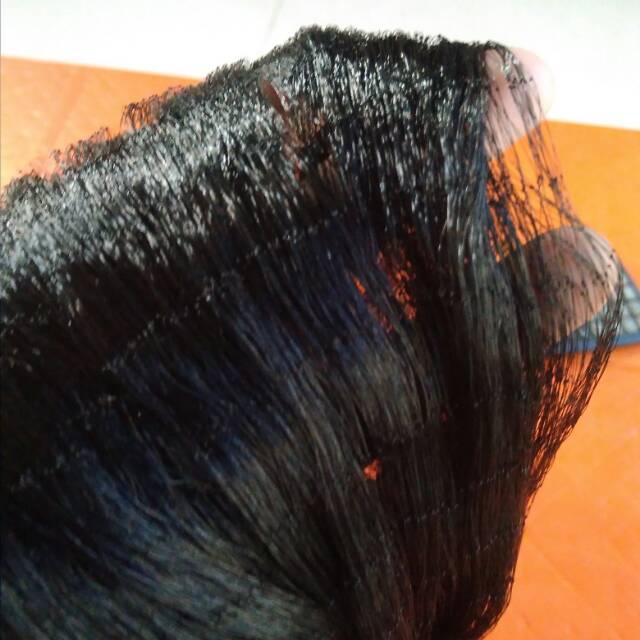 Jaring burung emprit