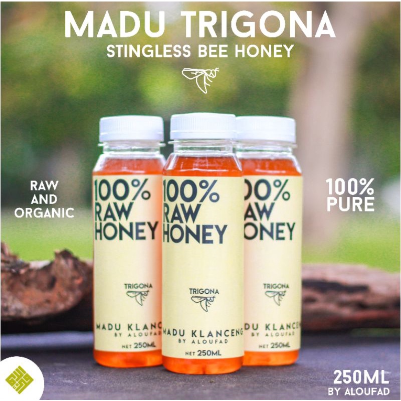 

MADU ASLI MADU KLANCENG / MADU KELULUT / MADU LANCENG MADU TRIGONA MURNI TANPA CAMPURAN