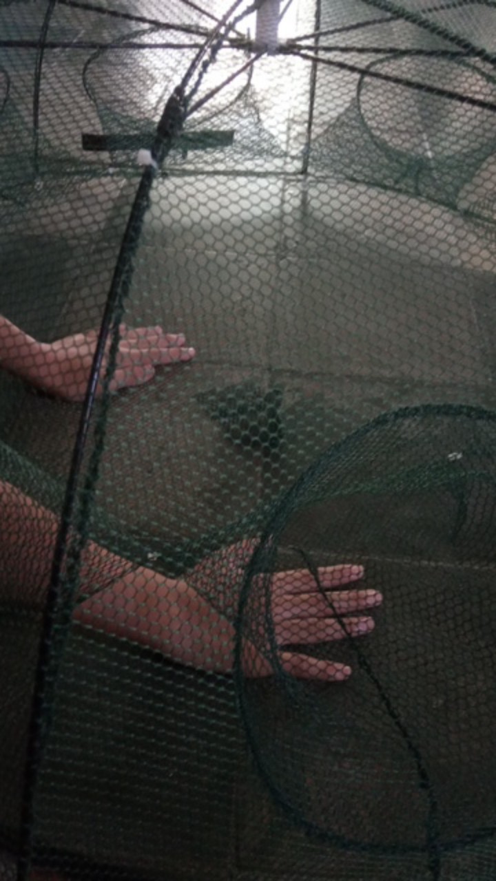 Payung Bubu Jaring Jebakan Perangkap Udang Ikan Kepiting Model Payung 8 Lubang