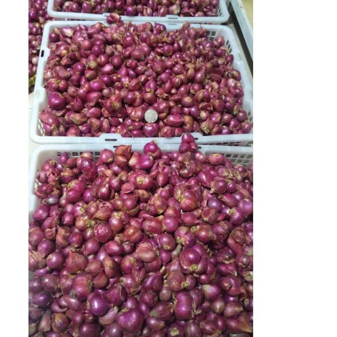 

(mvx-597) bawang merah Probolinggo super (kering) .,