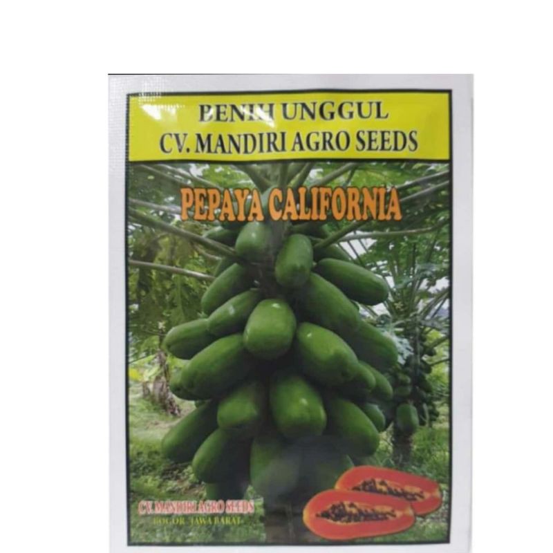Bibit Benih Pepaya Calina California