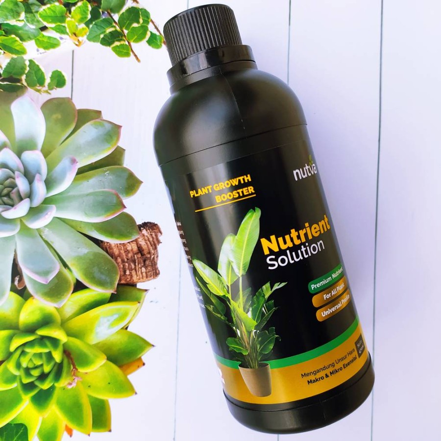 Biomor Serum Nutrisi Vitamin Aglonema Monstera Variegata isi 470ml