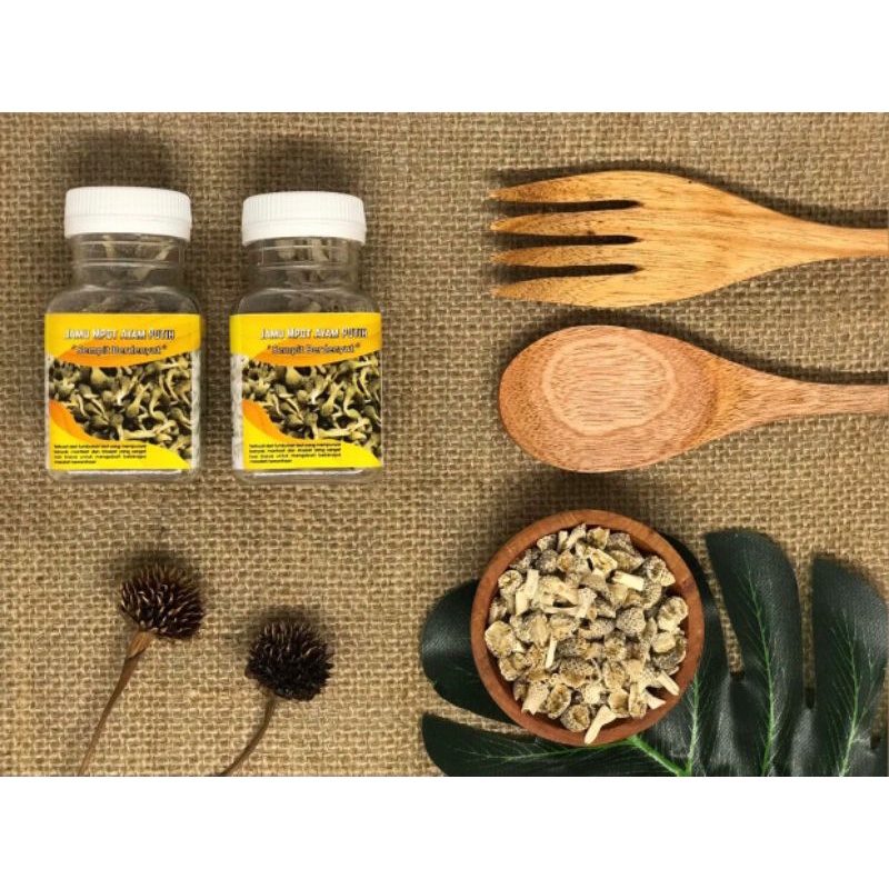 READY MPOT AYAM PUTIH ORIGINAL ASLI MADURA