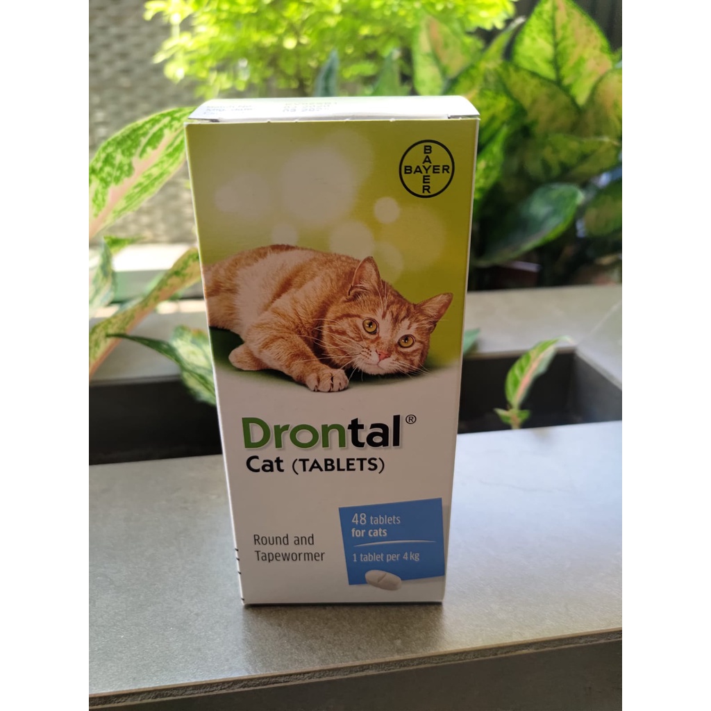 DRONTAL Obat Cacung Kucing 1 Tablet