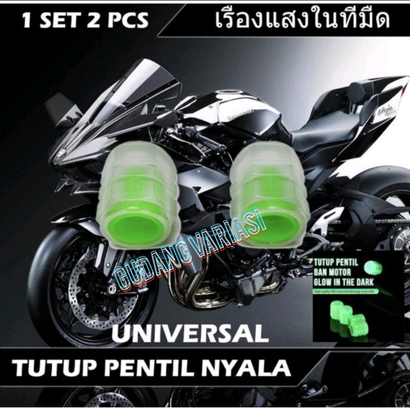 TUTUP PENTIL NYALA GLOW IN THE DARK MOTOR MOBIL SEPEDA