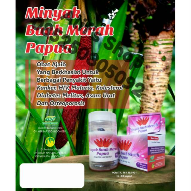 Obat Herbal Kapsul Ekstrak Minyak Buah Merah Papua Herbafood Obat Berbagai Macam Penyakit