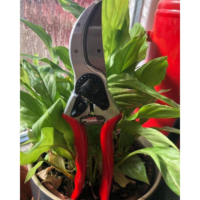 

Pruning shear | Gunting tanaman super tajam