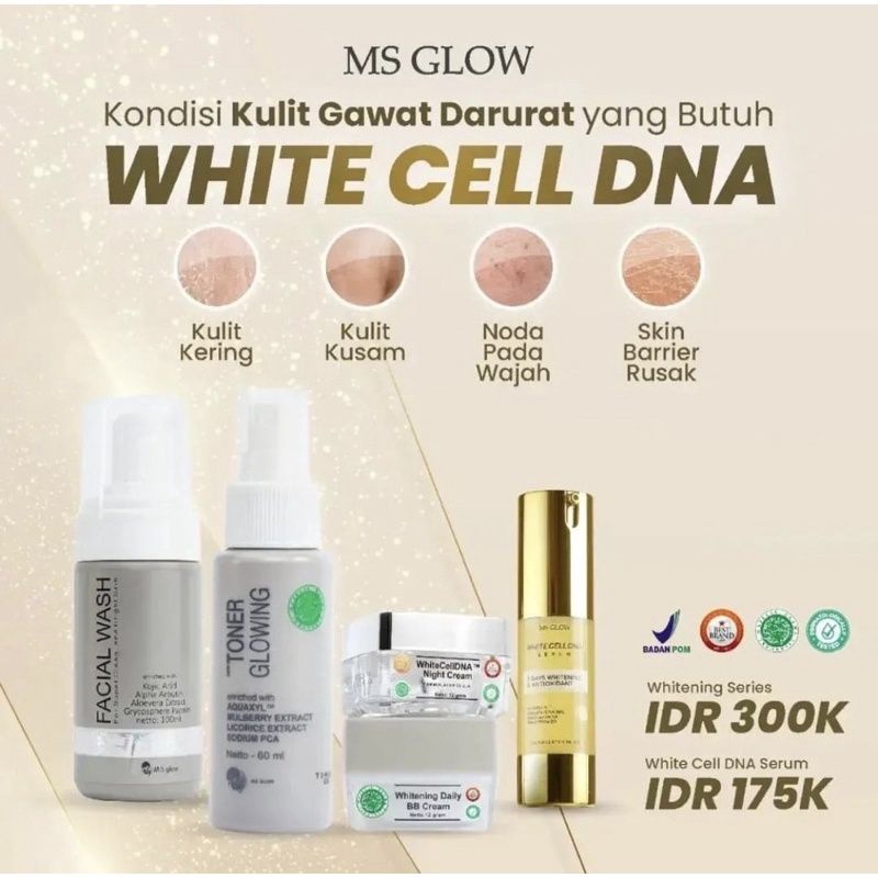 Paket white cell dna/Night cream white cell dna/Serum white cell dna MS GLOW
