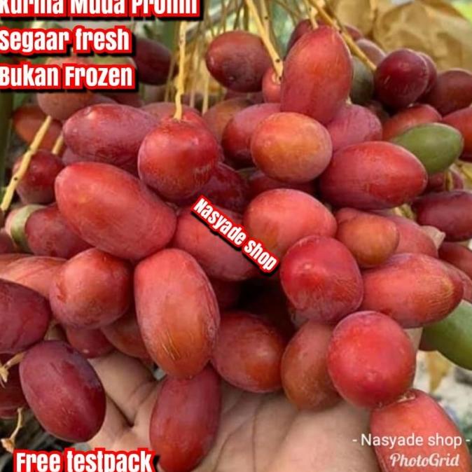 

SALE Kurma Muda Segar Fresh Bukan Frozen Merah 500g/KURMA 1KG/KURMA BARARI/KURMA RUTHOB/KURMA BAM/KURMA PALM FRUIT/KURMA TANGKAI/KURMA AZWA/KURMA SUKKARI/KURMA SAFAWI/KURMA TUNISIA/KURMA MUDA KUNING/KURMA MUDA HIJAU/KURMA MEDJOL/KURMA MADINAH SUPER