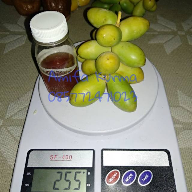 

Paket Promil Kurma Muda & Madu Sialang Asli