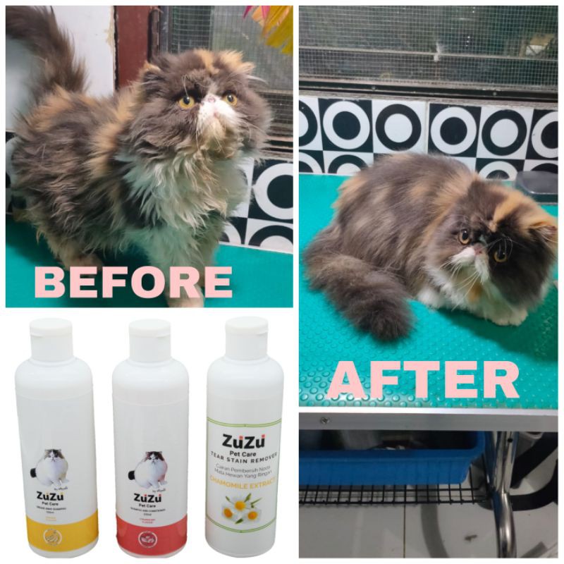 Grooming set , paket shampoo dan pembersih muka kucing lengkap murah