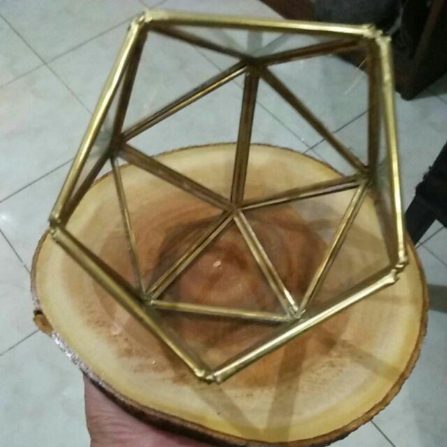 Satu Set Tempat Cincin Terrarium/ Tatakan Kayu / Ring Box Sangakar Burung