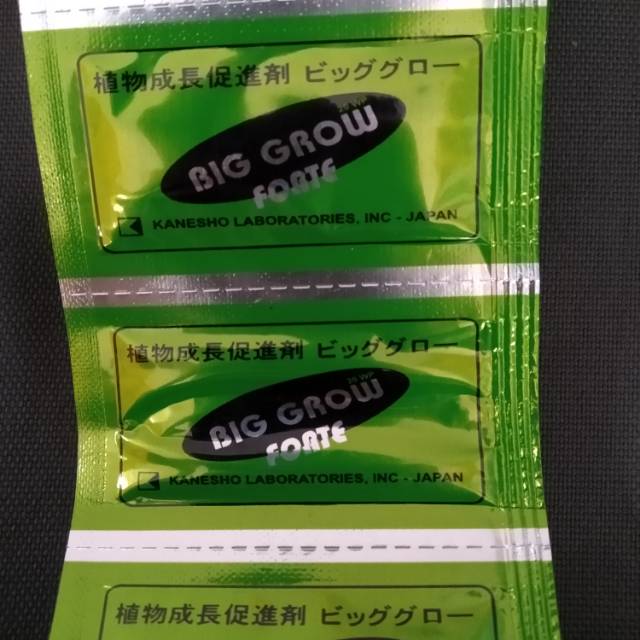 Big Grow Forte 20wp gibberellin