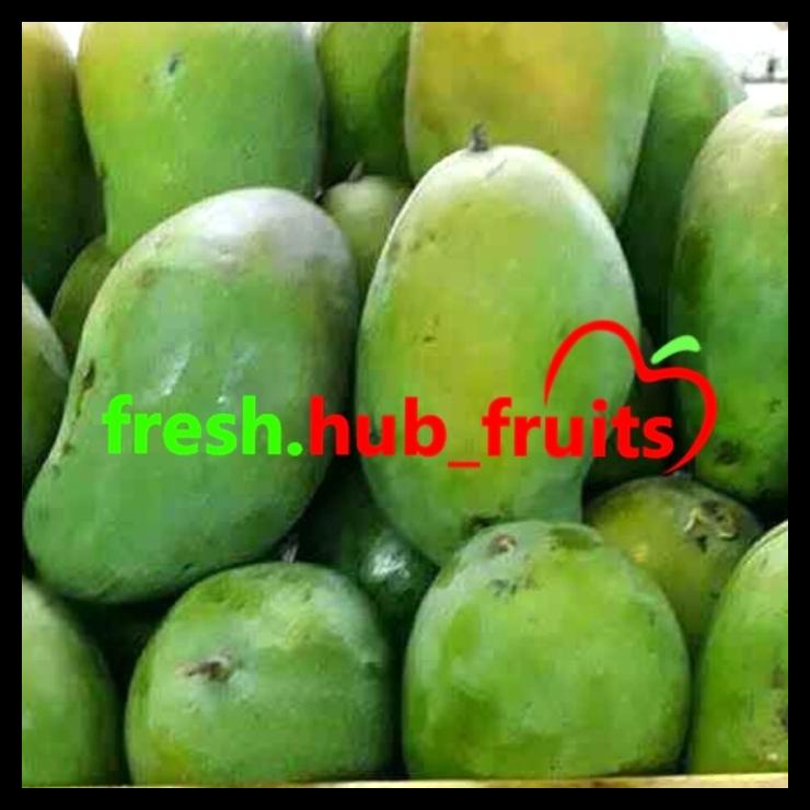 

Mangga Harumanis