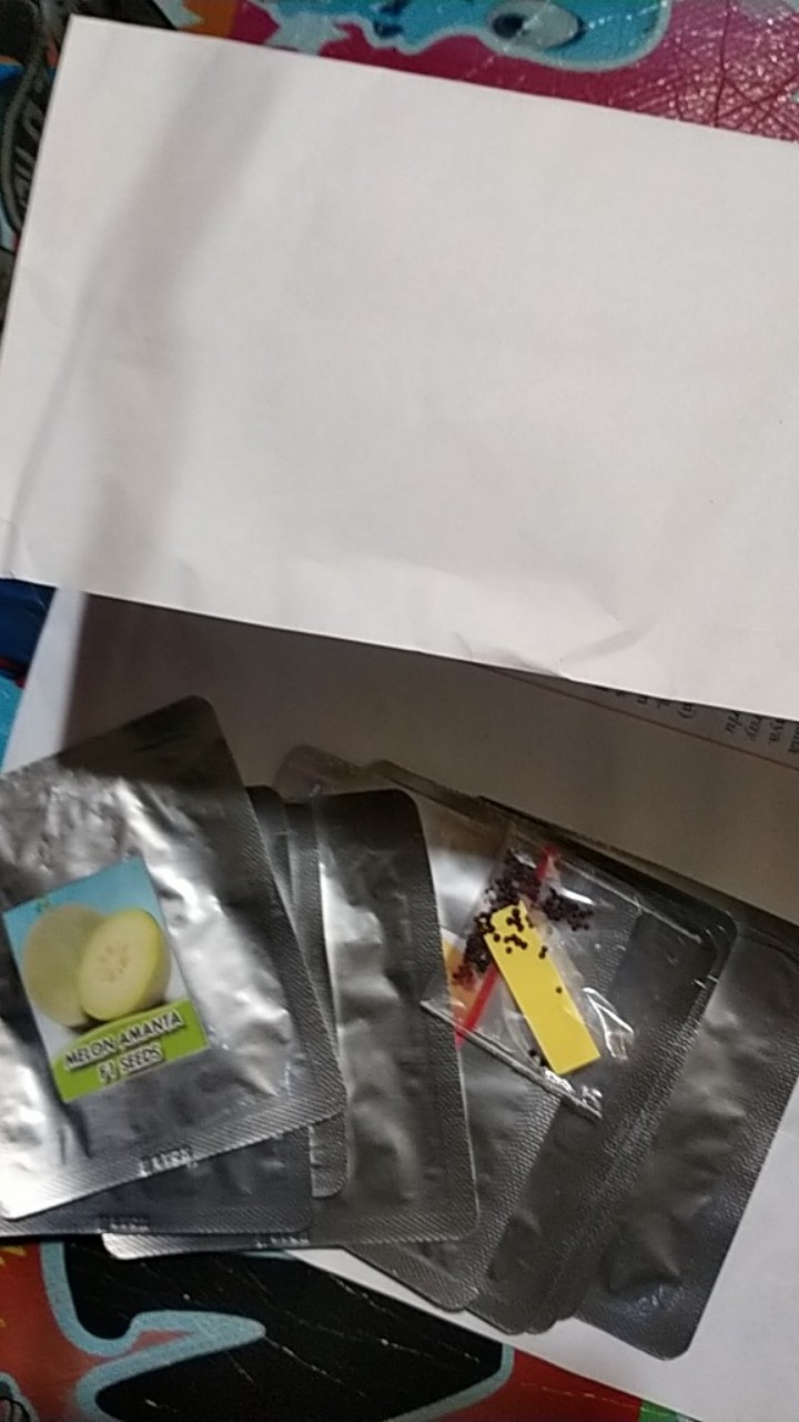 Biji Wortel Pasar Paris (biasa Di Jual Di Pasar Paris Sesuai Dengan Namanya) Tahan Suhu Panas
