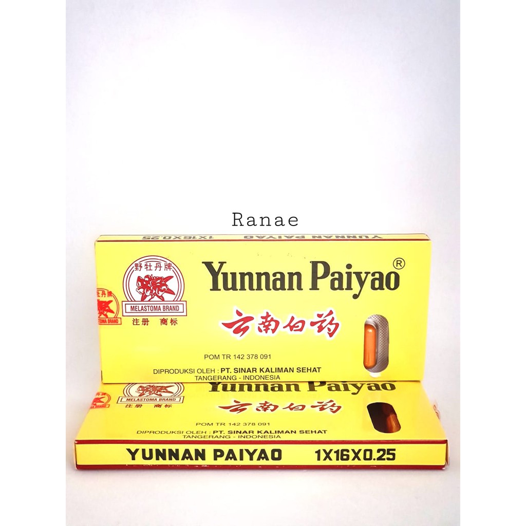 Yunsan PT SKS Yunnan Paiyao obat luka dalam memar