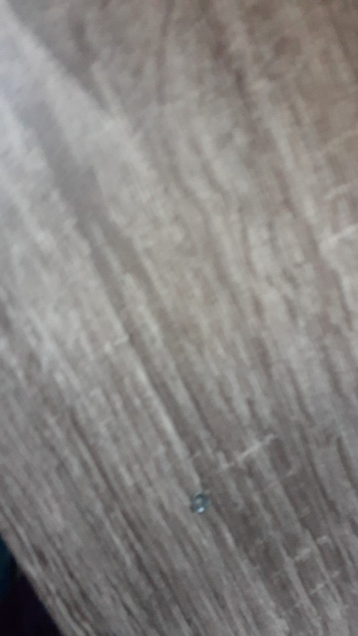 So Klin Liquid  26ml Isi 12 Sachet