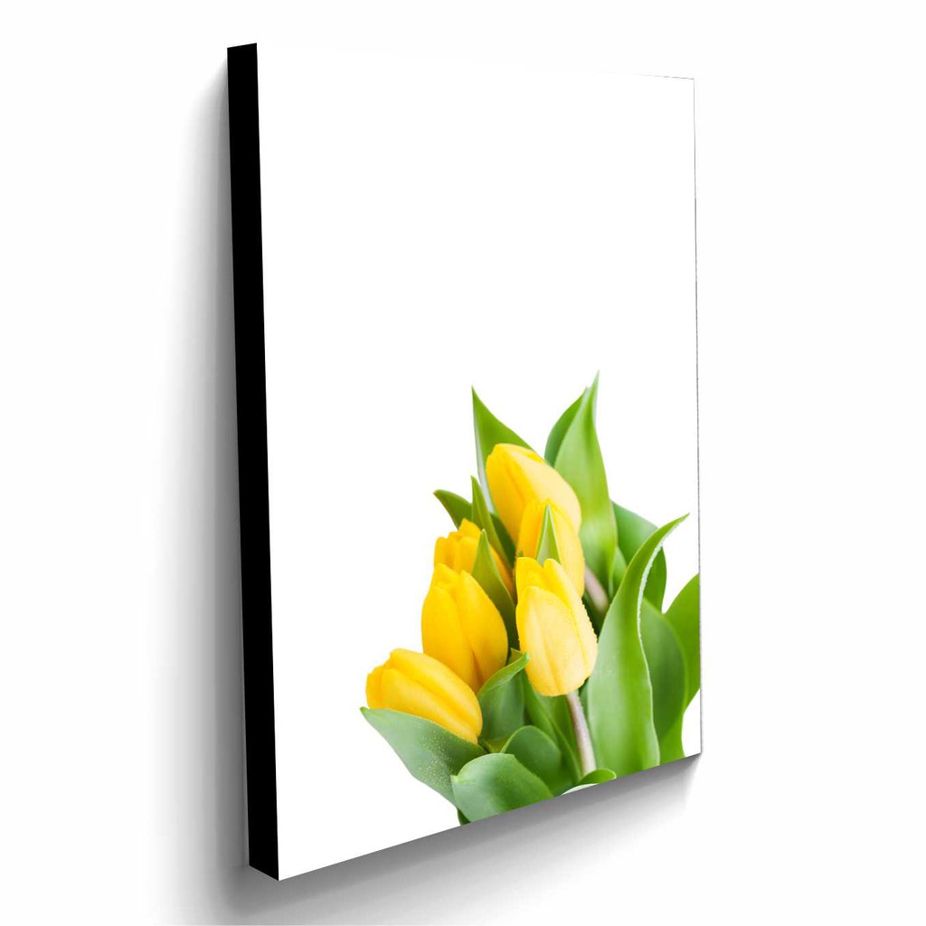 720+ Gambar Kolase Bunga Tulip Gratis Terbaik