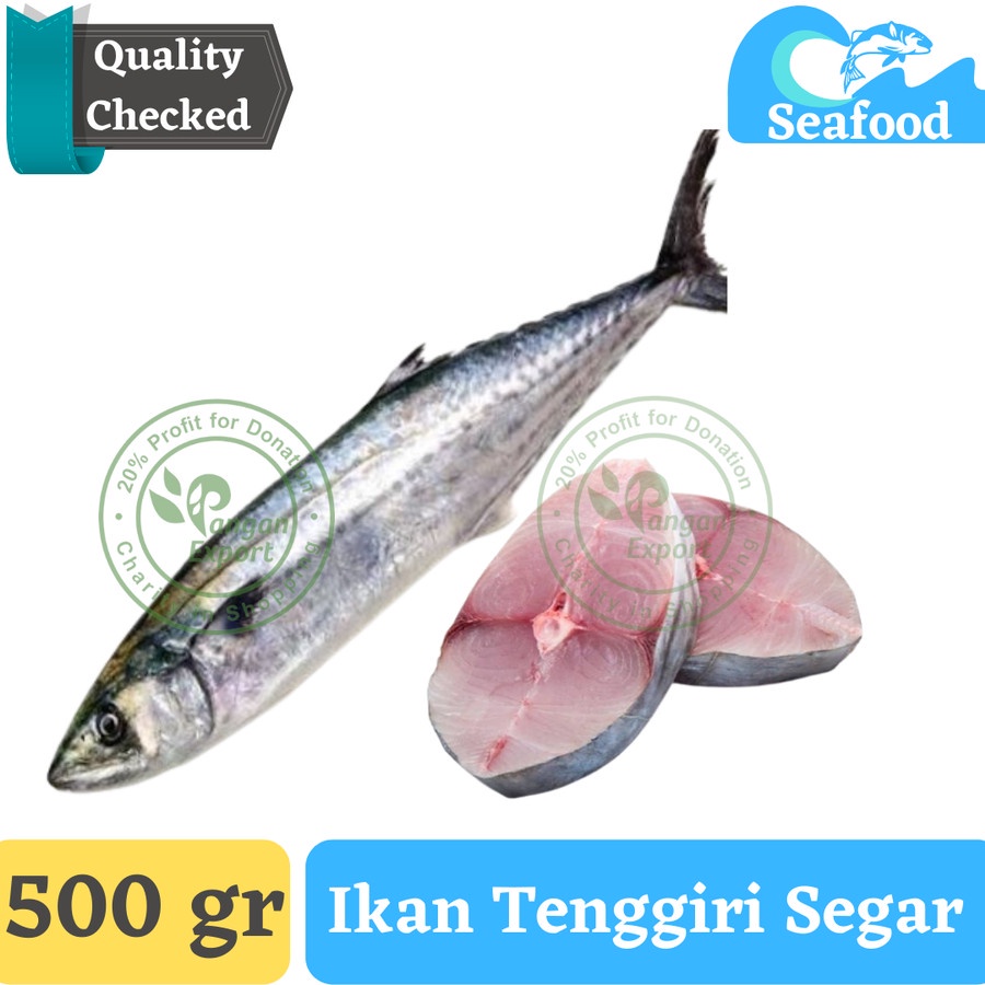 

Ikan Tenggiri Segar , Ikan Tenggiri Fresh