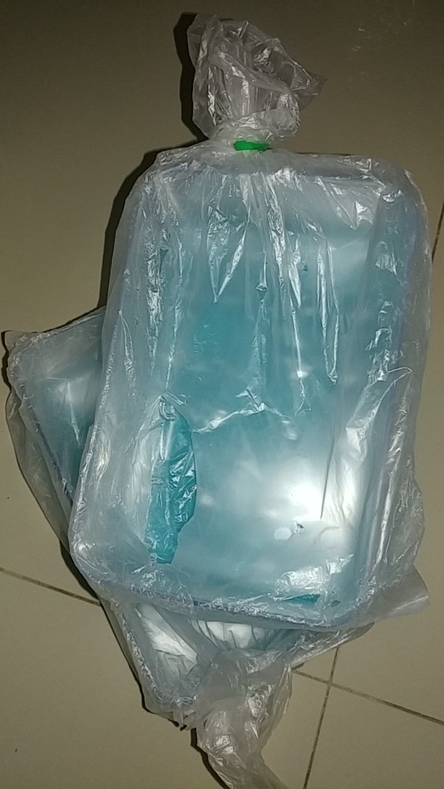 Freshclear Large #2 (1pcs) 97p Ori 100%