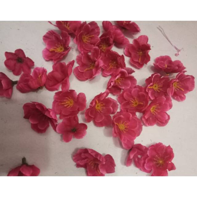 

Bunga sakura 30kuntum