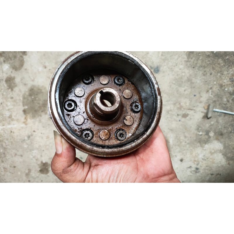 Magnet Tiger ORI cepotan