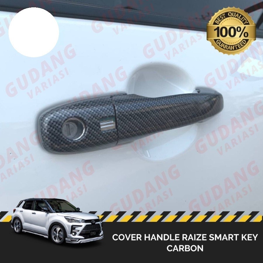 Cover Handle Carbon Raize