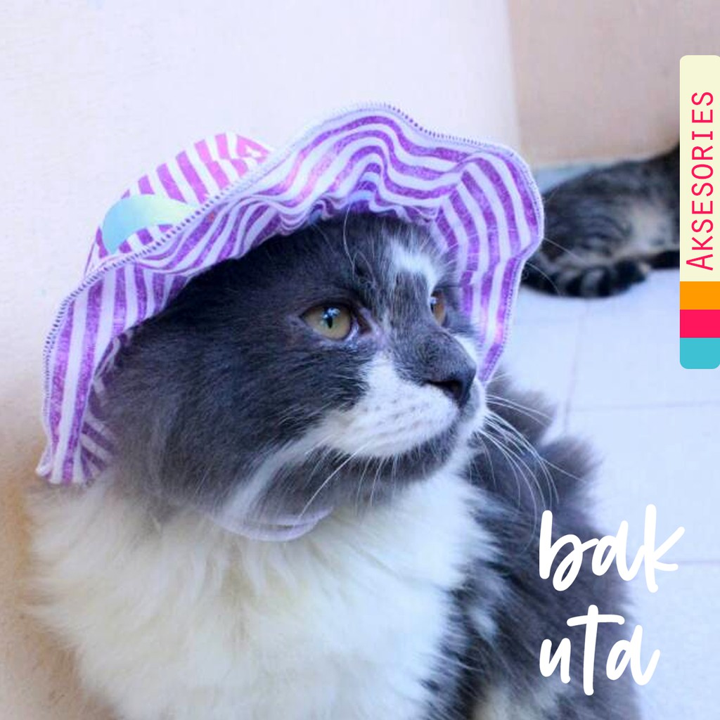 Topi pantai warna ungu strip untuk kucing dan anjing size kitten dan adult.