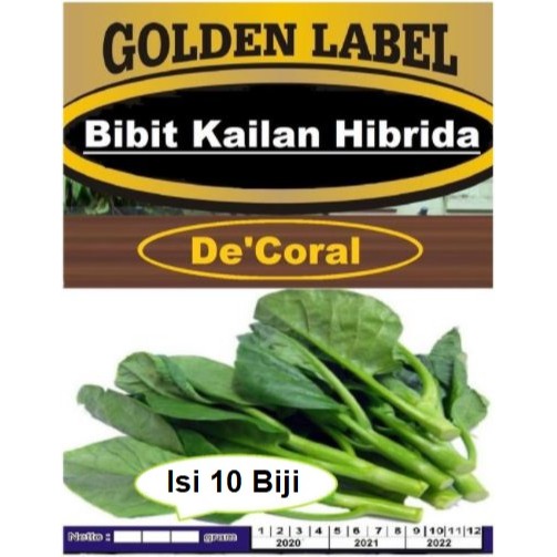 Bibit Kailan Hibrida | Benih Kailan | Baby Kailan | Kale Cina