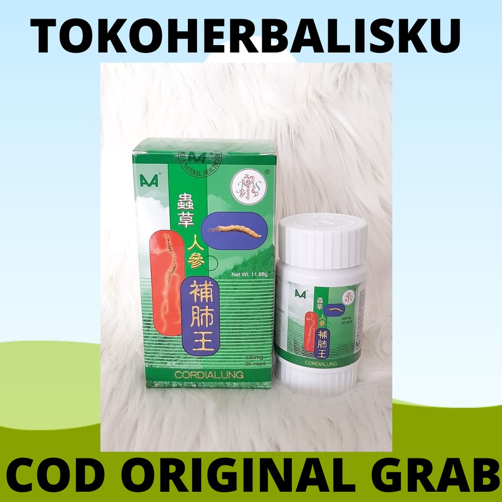 cordialung kapsul cordyceps obat herbal cina untuk batuk menahun sesak nafas ginjal dan flex paru pa