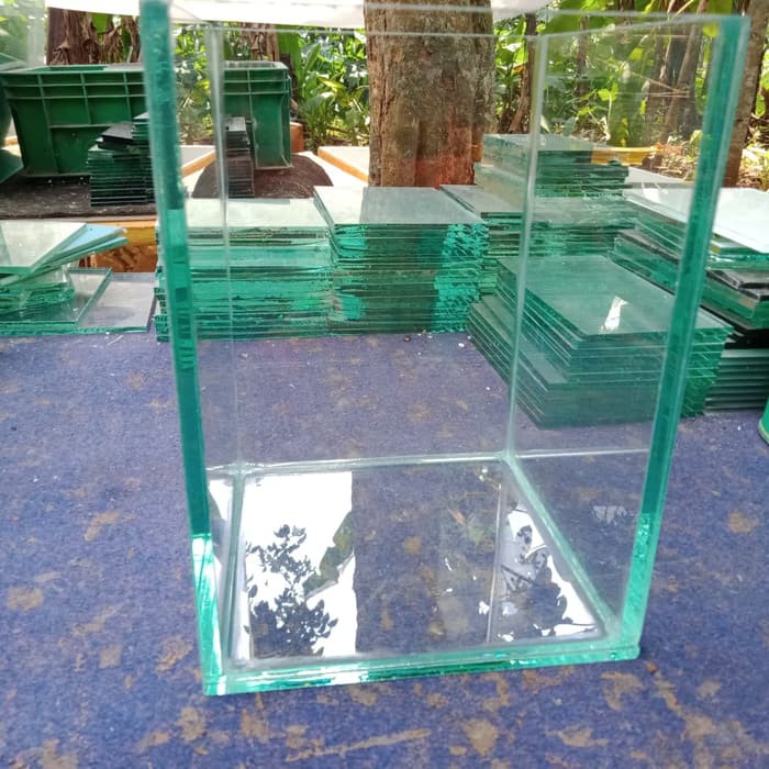 Soliter Jumbo, 15x15x20, soliter cupang, Aquarium gupy