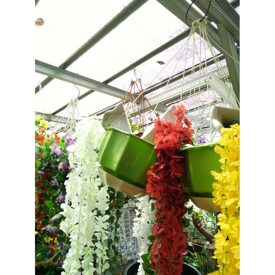 Yang Dicari] Pot Bunga Gantung/Pot Gantung/Pot Unik