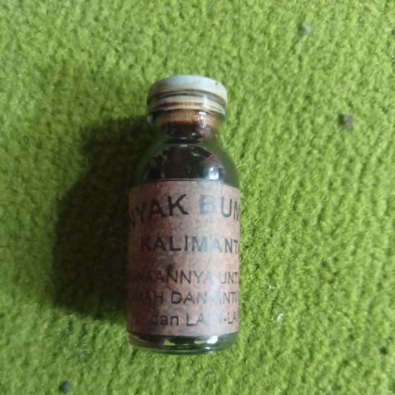

minyak bumi kalimantan