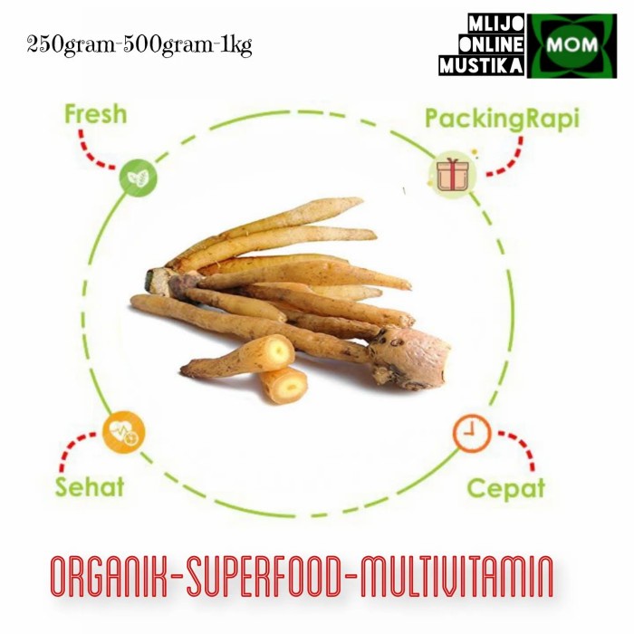 

KUNCI 1Kg / TEMU KUNCI / SEASONING / AROMATIK ALAMI / REMPAH / BUMBU - Bubuk Powder, 1000gram