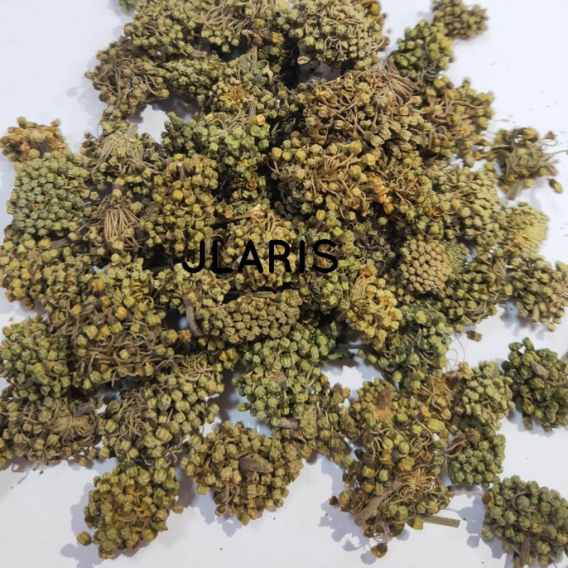 

Tienchi Hua / Bunga Tienchi / Tienchi Ginseng - Untuk Melancarkan Sirkulasi Darah