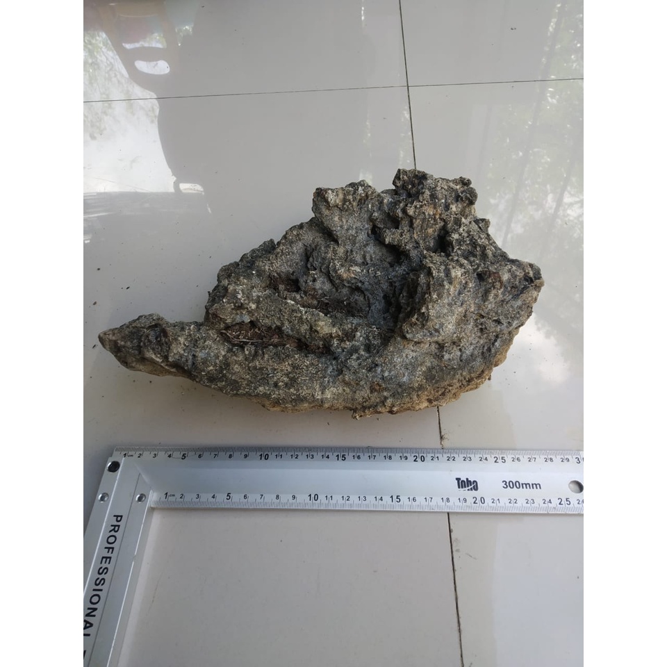 BATU KARANG GUNUNG UNTUK BONSAI DAN AQUASCAPE