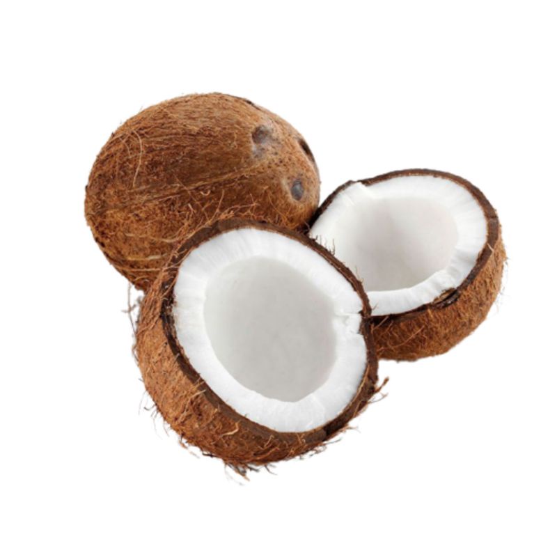 

Kelapa tua per 1pcs