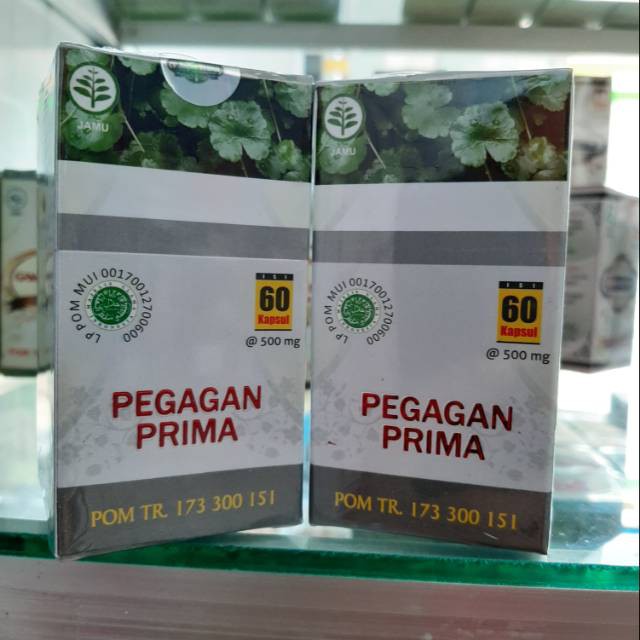 

kapsul Pegagan ekstrak pegagan prima obat pelancar sirkulasi darah