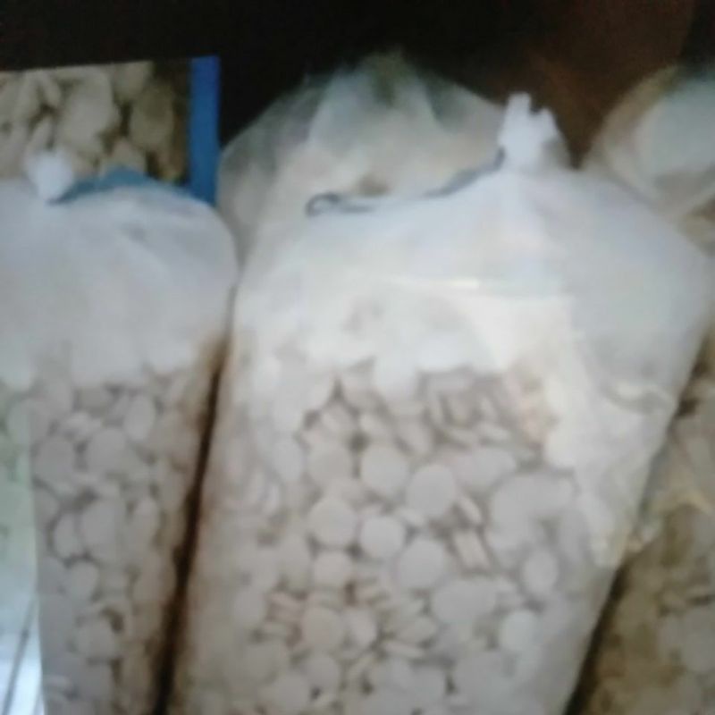 

kemplang palembang super