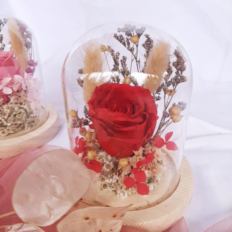 Dome Flower | Preserved Rose in Glass Dome (Dome glass / Preserved rose / Kado Anniversary) READY
