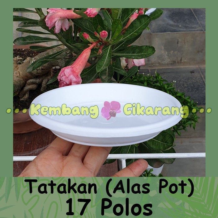 TATAKAN POLOS 17 alas pot bunga cantik murah grosir taktakan pot